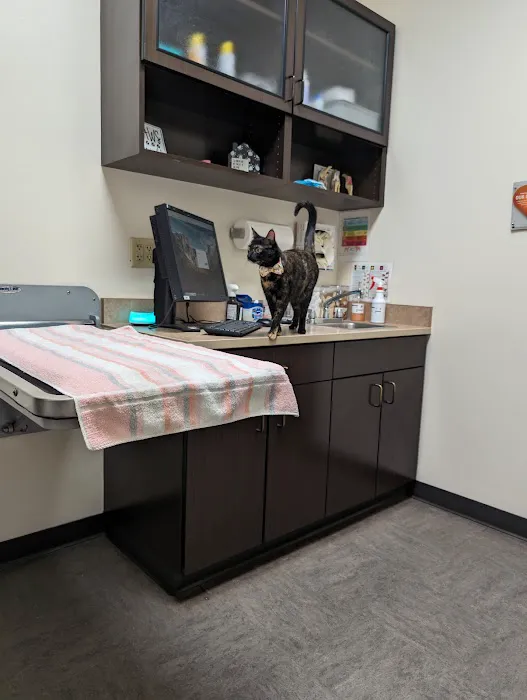 Village Veterinary Medical Center, A Thrive Pet Healthcare Partner 2