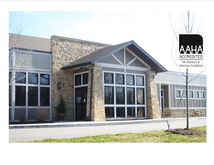 Village Veterinary Medical Center, A Thrive Pet Healthcare Partner 6