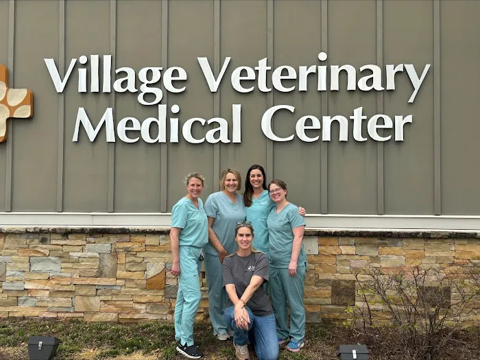 Village Veterinary Medical Center, A Thrive Pet Healthcare Partner 4