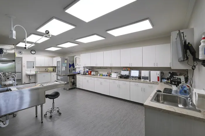 Forest Park Animal Clinic 5
