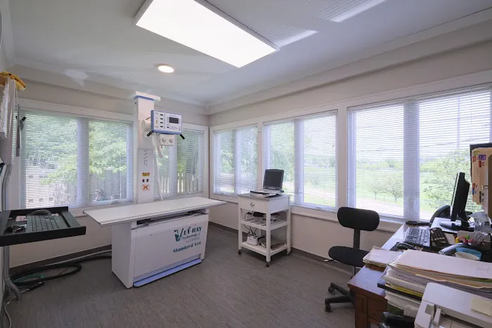 Forest Park Animal Clinic 6
