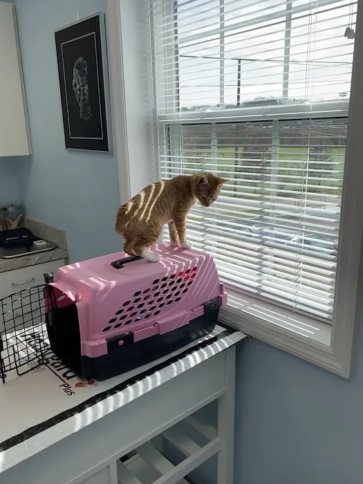 Forest Park Animal Clinic 8