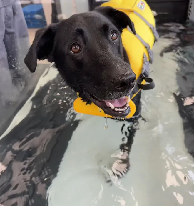 Animal Wellness and Rehabilitation Center (AWRC) 2