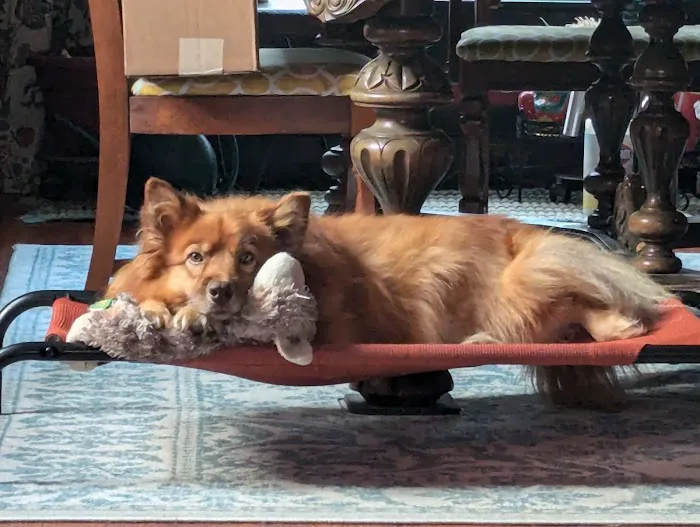 Animal Wellness and Rehabilitation Center (AWRC) 8