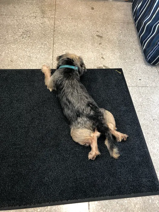 Animal Wellness and Rehabilitation Center (AWRC) 10