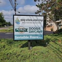 Young-Williams Spay/Neuter Solutions ico