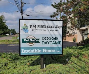 Young-Williams Spay/Neuter Solutions