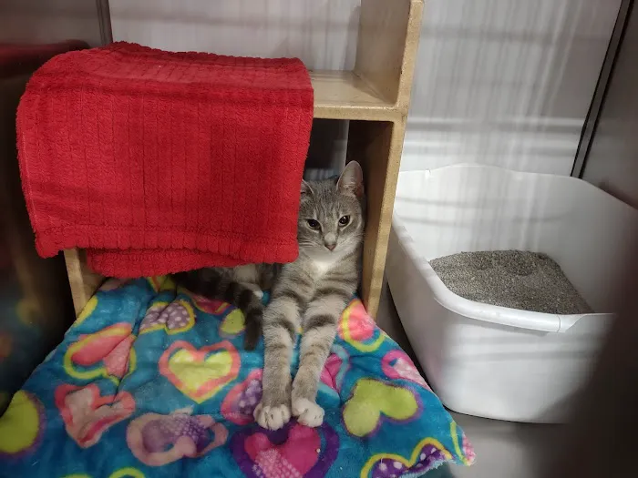 Banfield Pet Hospital 1