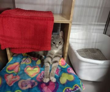 Banfield Pet Hospital