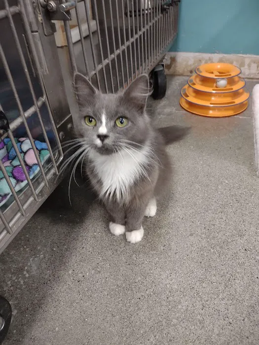 Banfield Pet Hospital 8