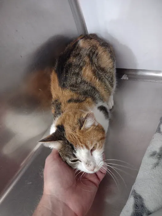 Banfield Pet Hospital 10