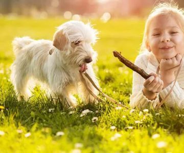 Bluegrass Animal Hospital