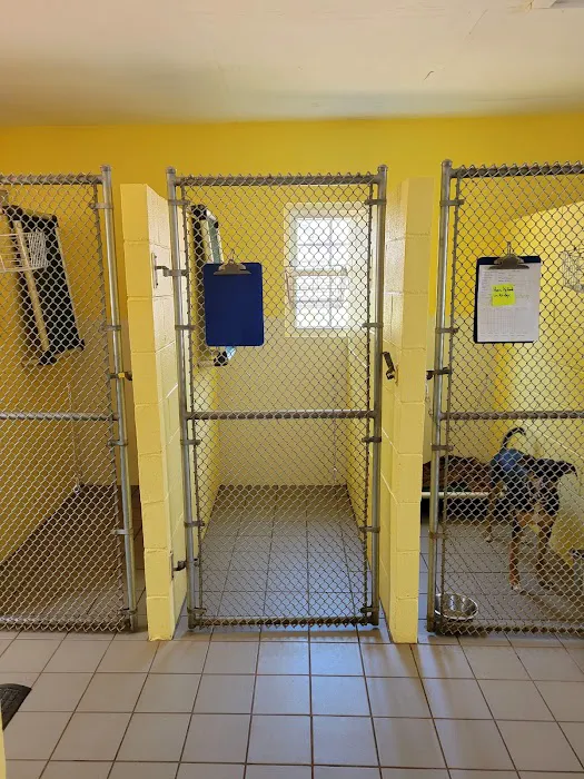 Bluegrass Animal Hospital 2