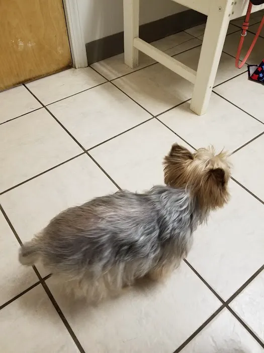 Bluegrass Animal Hospital 6
