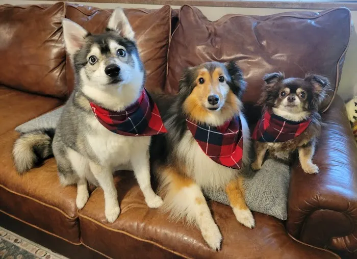 Bluegrass Animal Hospital 7