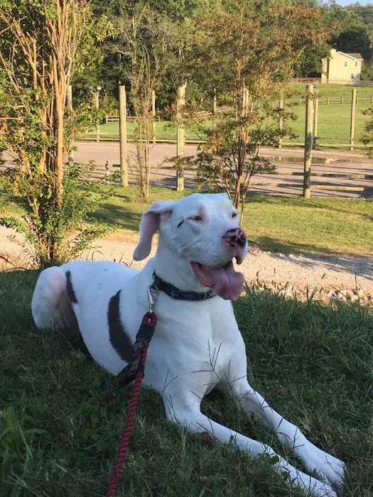 Rocky Hill Animal Hospital 3