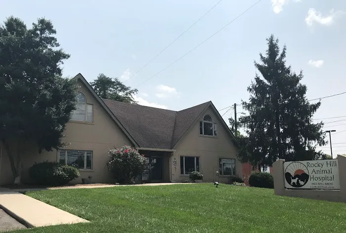 Rocky Hill Animal Hospital 1