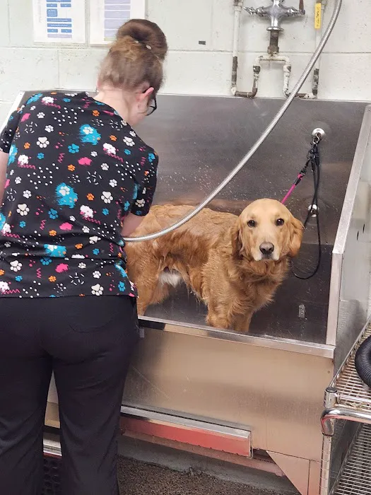 Rocky Hill Animal Hospital 8