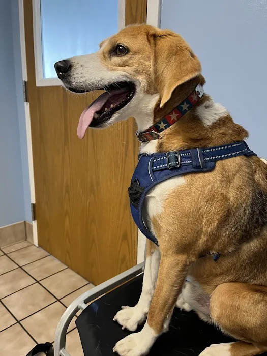 Rocky Hill Animal Hospital 10