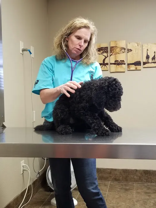 Emerson Veterinary Clinic and Hospital 10