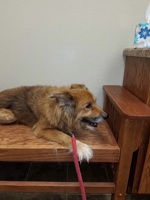 Emerson Veterinary Clinic and Hospital 8