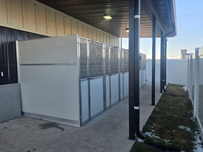 Harmony Animal Hospital 4