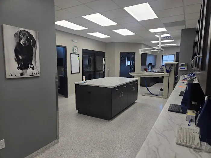 Harmony Animal Hospital 9