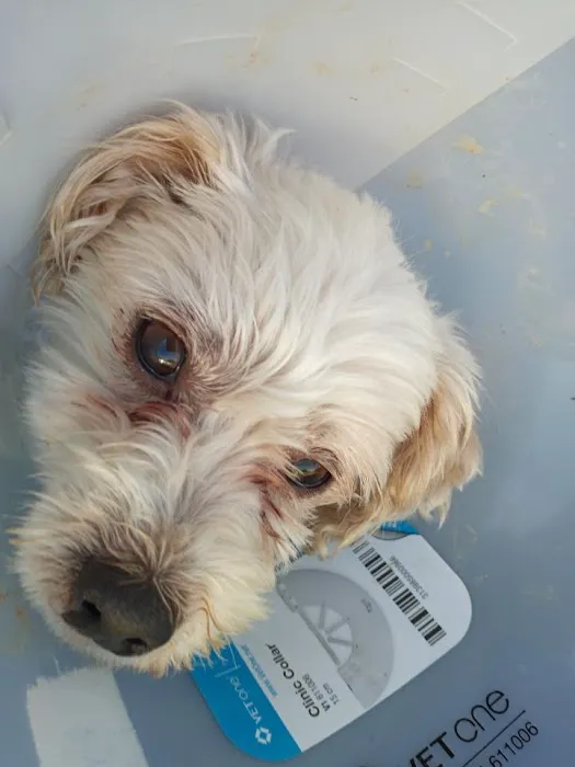 Family Pet Medical Center 1