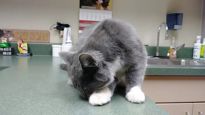 Family Pet Medical Center 6