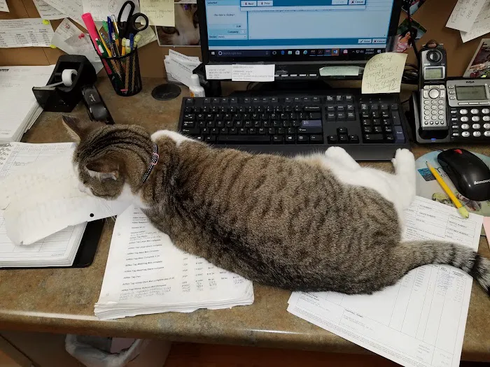 Family Pet Medical Center 5