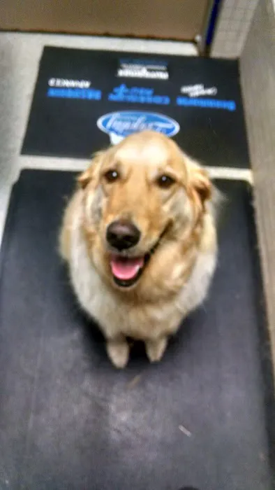 Family Pet Medical Center 9