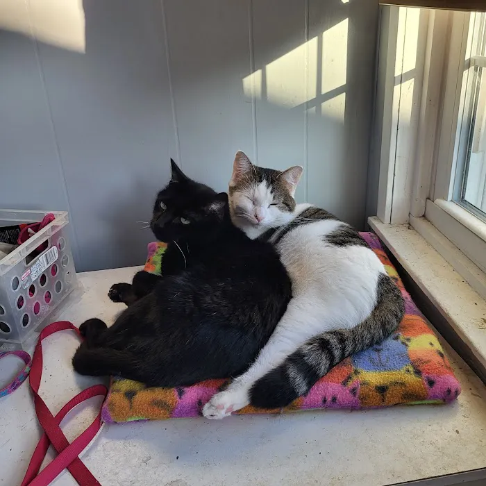 East Lawn Animal Hospital 3