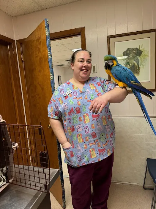 East Lawn Animal Hospital 6