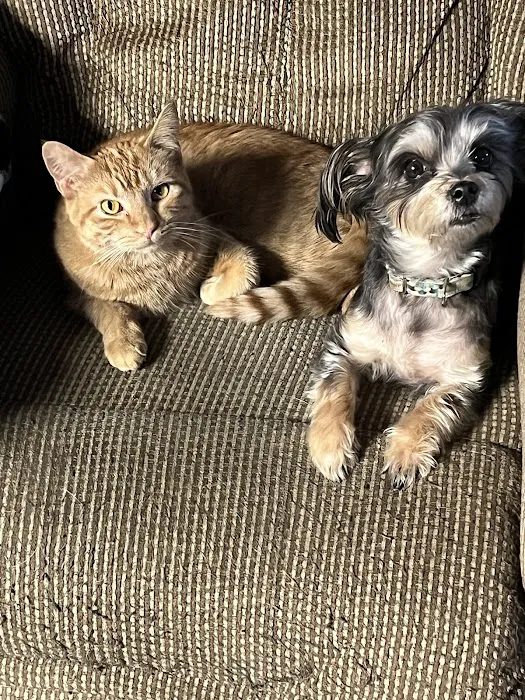 East Lawn Animal Hospital 7