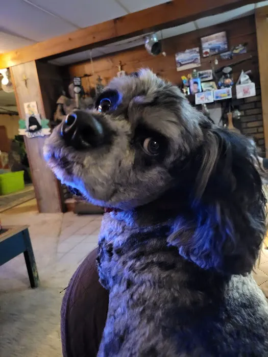 Holm Animal Hospital 6