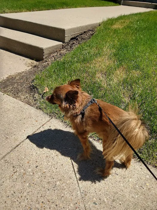Highland Park Animal Hospital 2