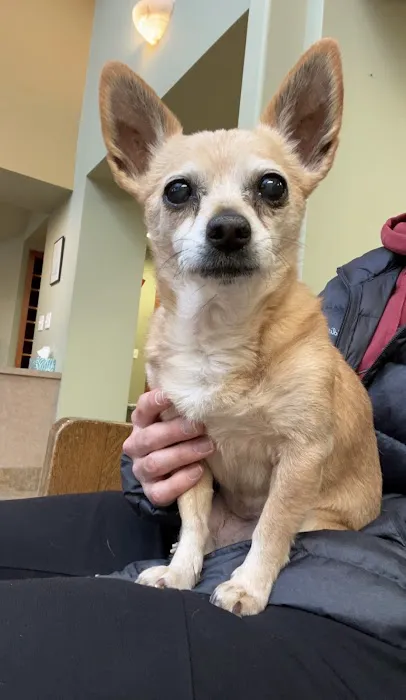 Highland Park Animal Hospital 1
