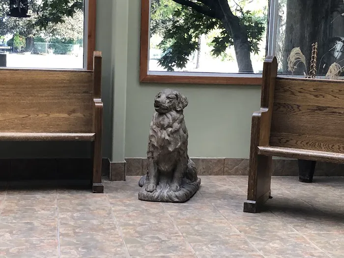 Highland Park Animal Hospital 4