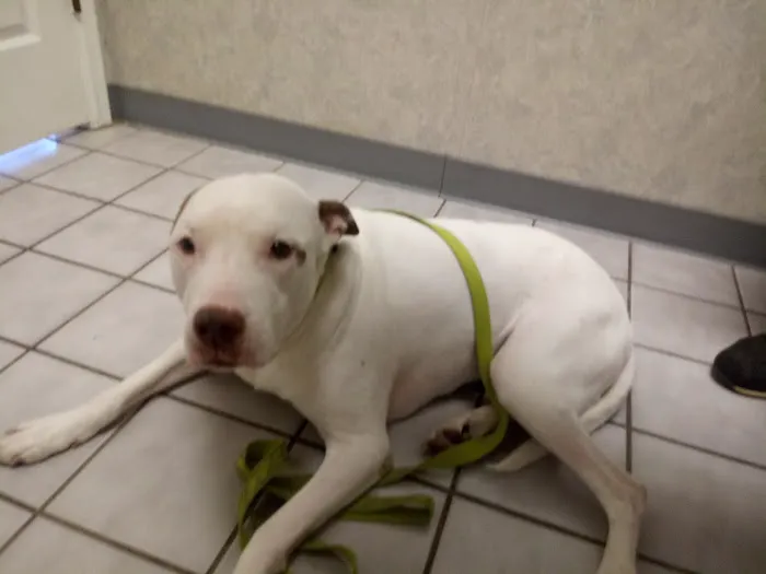 All-Pets Hospital: Berge Kathy DVM 1
