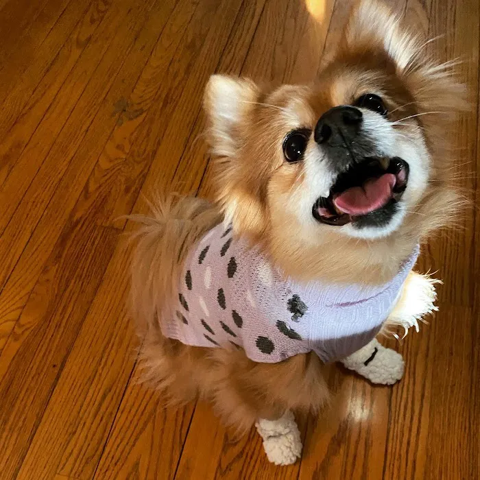All-Pets Hospital 3