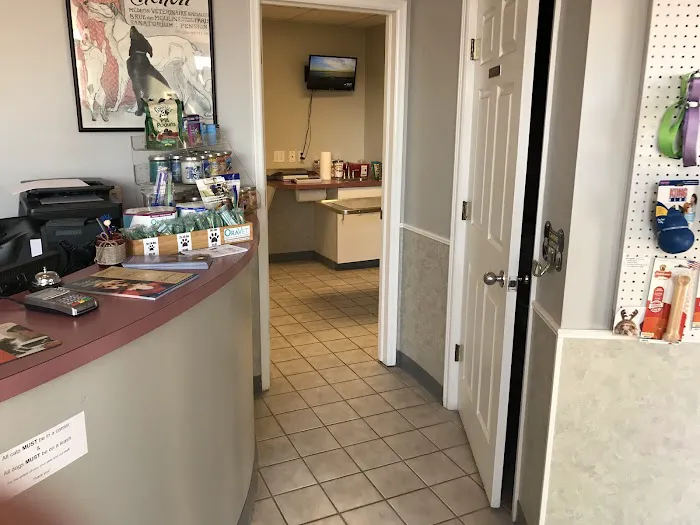 All-Pets Hospital 6