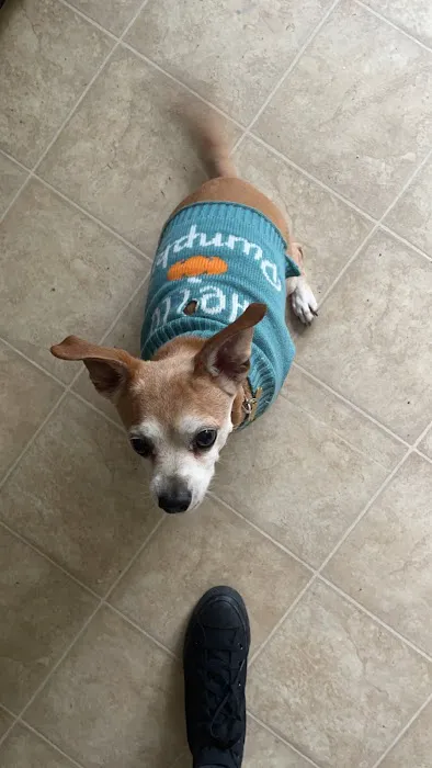 Afford-A-Care Pet Hospital 5