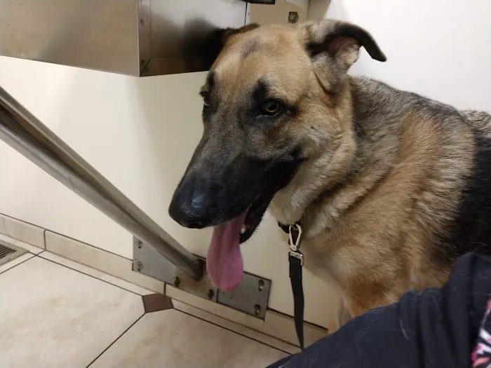 Mac Rae Park Animal Hospital 7