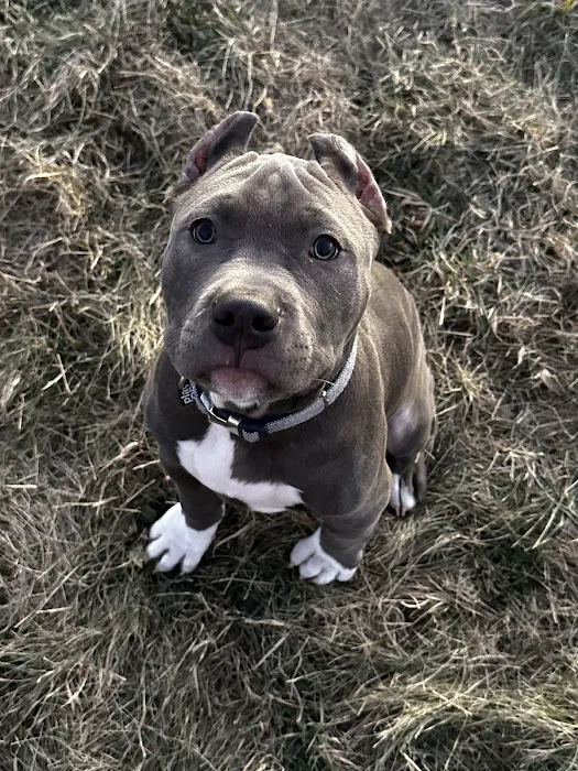 Mac Rae Park Animal Hospital 9
