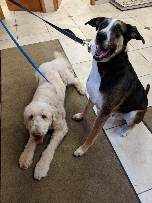 Mac Rae Park Animal Hospital 10