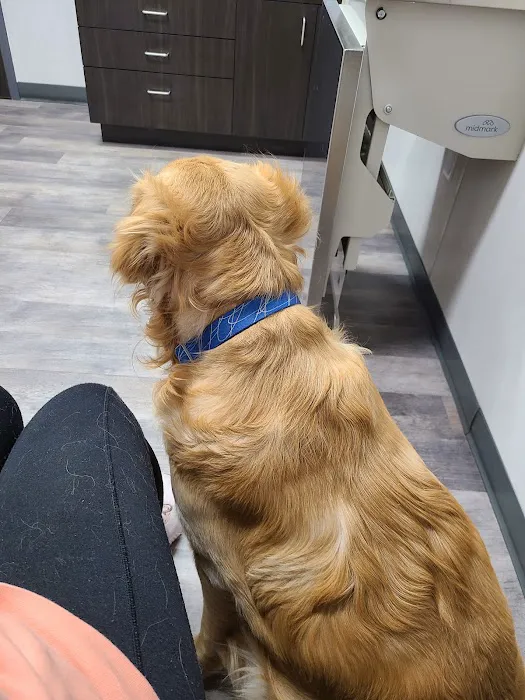 Carlisle Veterinary Clinic 1