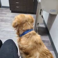 Carlisle Veterinary Clinic ico