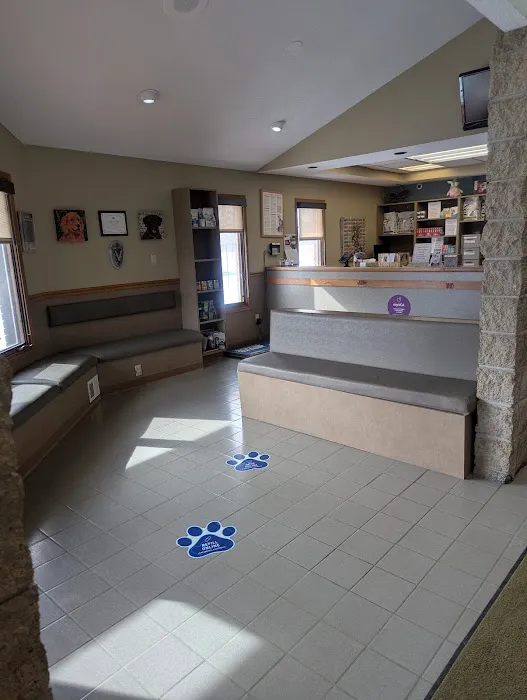 VCA Avondale Veterinary Hospital 1