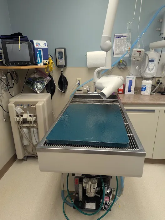 VCA Avondale Veterinary Hospital 4