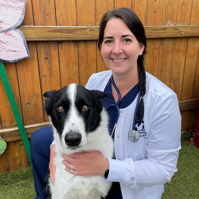 South Des Moines Veterinary Center 4